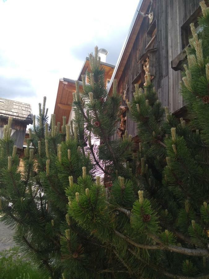 קאנזיי Cianbolpin Guesthouse מראה חיצוני תמונה